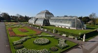 Royal Botanic Gardens, Kew 1063839 Image 2